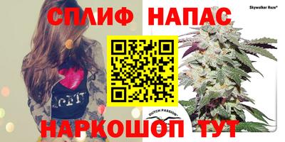 молекула духа Краснокаменск