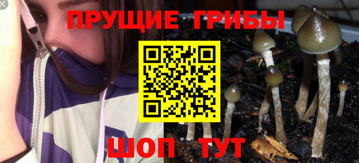 Псилоцибиновые грибы мицелий  Вход с VPN  Псилоцибиновые грибы MAGIC MUSHROOMS  Чайковский 